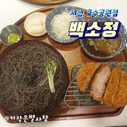 [서산호수공원맛집] 백소정 돈까스, 마제소바 존맛탱!