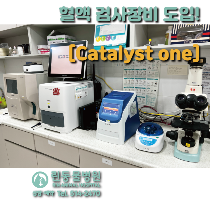 동래구 린동물병원 :: 혈액검사 장비 카탈리스트(Catalyst one)로 업그레이드를 했습니다! : 네이버 블로그