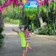 아기와 싱가포르 여행_주롱새공원