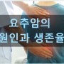 요추암의 원인과 생존율에 도움이 되는 면역치료로 암이 멈추는 상황이 오게 할 확율이 좋은 길 안내