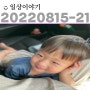 일상:)220815-21#건630-636d;/드디어퇴원/삼척맛집 이화루/비빔짬짜면/ 강릉아산병원/산부인과정기검진/도동이는 31주/울진바다/점점 늘어나는 도동이지분 -애정