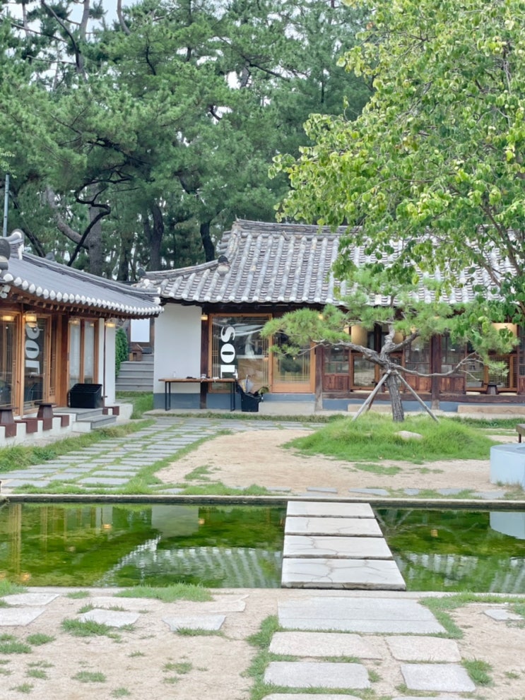 경주 대릉원 첨성대 근처 정원이 있는 한옥카페 카페솔
