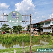 방콕 동물농장 카페 모리모리 플레이팜 Moori Moori Playfarm by 피케이