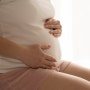 풍진 임신 초기 임산부는 특별히 더 조심하세요