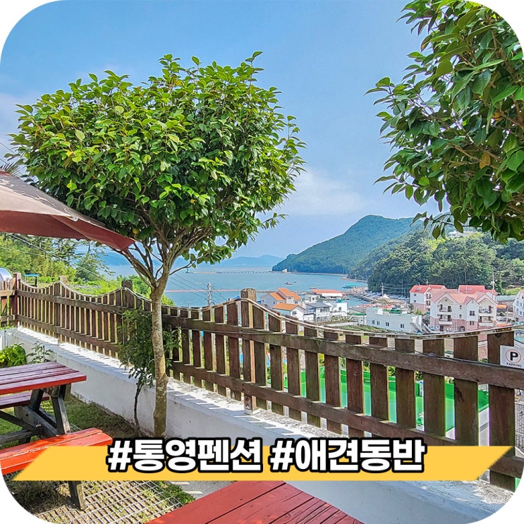 통영 애견 동반 여행, 가족이 방문해도 좋을 통영여행게스트펜션 아주 만족스러워 : 네이버 블로그
