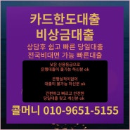 당일대출 신용카드한도 소득증빙없이 대출이 된다고 해서요