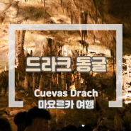 [마요르카 여행] 드라크 동굴/Cuevas Drach_관람, 예약방법