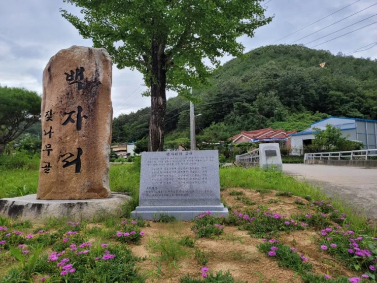 답사-135-길안 금곡리와 황학산 백자천 : 네이버 블로그