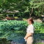 서울여행 | 엄마랑 다녀온 창덕궁, 후원 가이드 투어