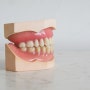 치아에 낀 이물질, 이쑤시개 말고 치실을 사용해야