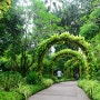 싱가포르 인기있는 장소 내셔널 오키드가든 세계최대 난초 식물관람