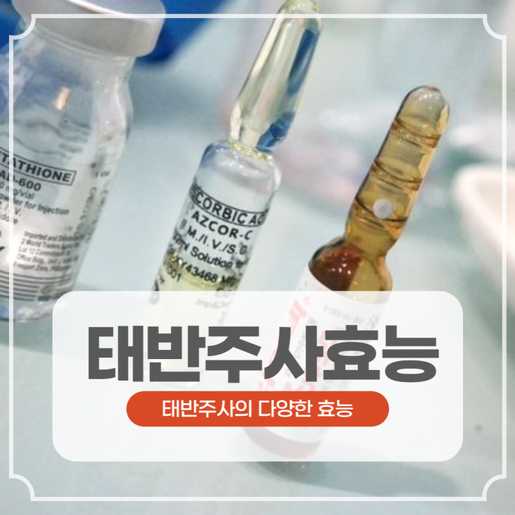 태반주사효능, 횟수와 주기, 실비적용 가능할까? : 네이버 블로그