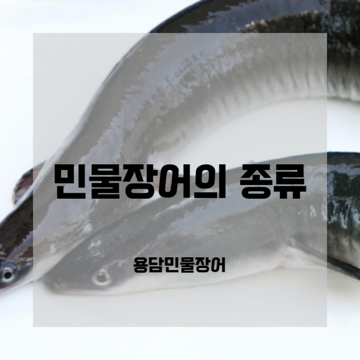 [다산맛집] 민물장어의 종류에 대해서 알려드립니다! : 네이버 블로그