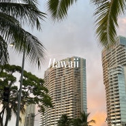 하와이 여행 #3 - 하나우마베이예약성공/레오나즈베이커리/파타고니아/월마트/니코스피어38/하얏트파머스마켓/치후BBQ
