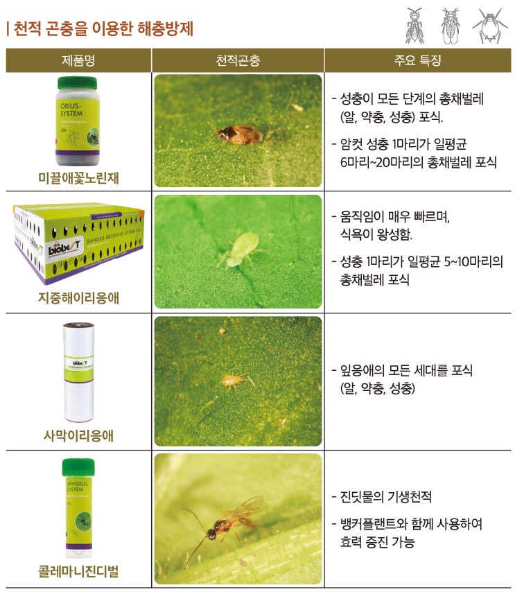 해충! 천적으로 스마트하게 방제하자! : 네이버 블로그
