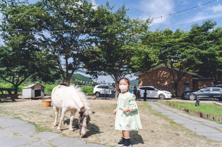 진주 아이와 가볼만한곳.애니멀프렌즈 실내동물원에...