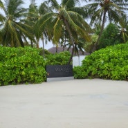 벨라사루 리조트 몰디브 신혼여행 숙소 정하기 공항에서 가까운 Velassaru Beach Villa with Pool를 선택한 이유와 리뷰