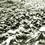 [단독-사진으로 보는역사]관동대지진 조선인 대학살, 韓정부 방치 속에 100주기 앞둬