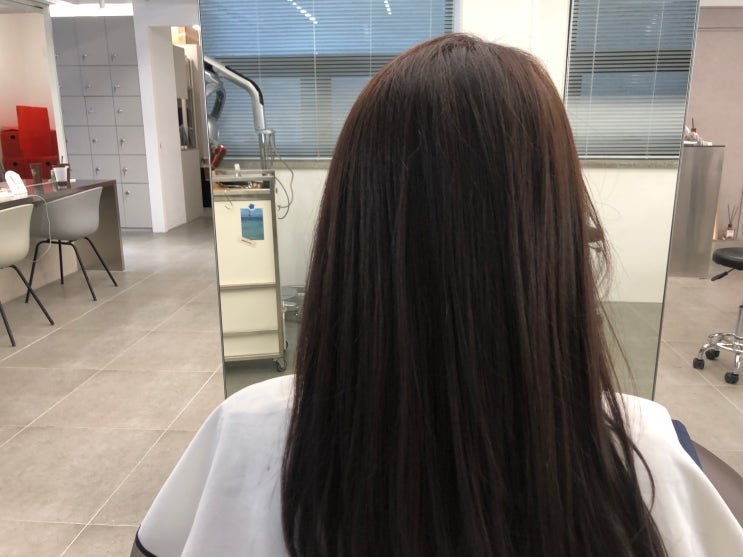 청담동미용실 노멀샵 에쉬브라운으로 가을맞이 : 네이버 블로그