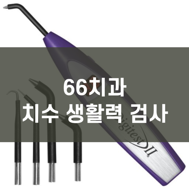 치수 생활력 검사 : 네이버 블로그