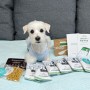 샐러드펫 샘플마켓 강아지 사료샘플로 기호성 테스트 유용한 앱