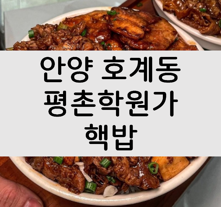 안양 호계동 맛집 평촌학원가 핵밥 덮밥먹고 싶을땐? : 네이버 블로그