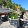 한국에서 가장 아름다운 사찰 부산 해동용궁사