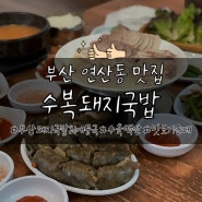부산 연산동, 수복돼지국밥 / 수육백반, 맛보기순대