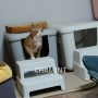 [정보] 노란고양이 변비치료기