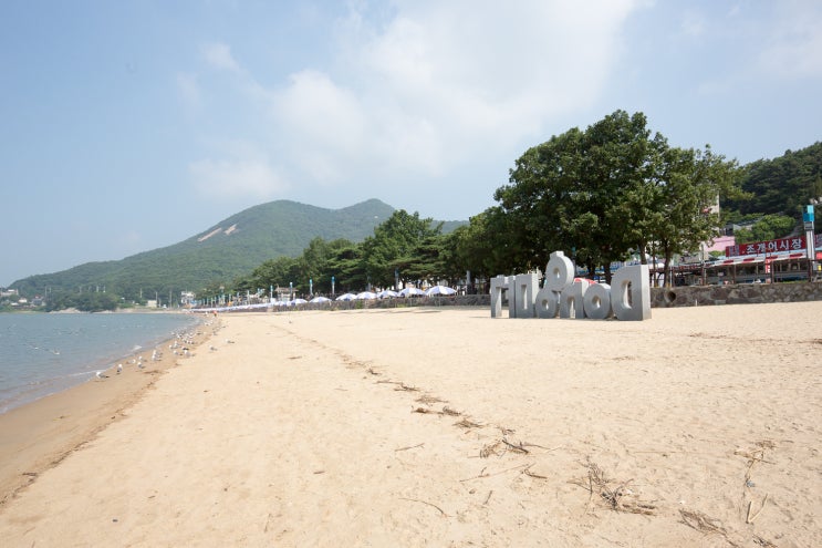 강화도펜션 단체 숙소로 동막해변이 있어 좋았던 스테이문 : 네이버 블로그