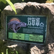 인천 강화도 아이들이 가보면 좋은곳 공룡공원 추천