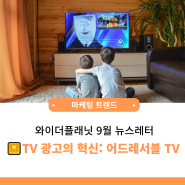 [9월 와플레터] TV 광고의 혁신: 어드레서블 TV