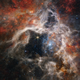 NGC2070 : Tarantula Nebula by Webb(NIRCam) : 웹이 포착한 별들의 고향