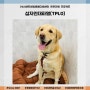 강아지 십자인대수술 :: TPLO :: 24시센트럴동물메디컬센터