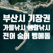 <부산 기장군>대표어종 벵에돔 전어 숭어 학꽁치 생활낚시 포인트 추천드립니다.