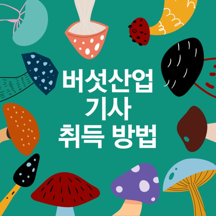 버섯산업기사 자격증 취득에 대한 정보 한눈에 알아봐요~ : 네이버 블로그