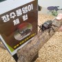 대구근교 아이와 가볼만한 곳 예천 곤충생태원