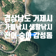 <부산경남거제>감성돔, 숭어, 전어 찌낚시포인트(생활낚시, 원투낚시)