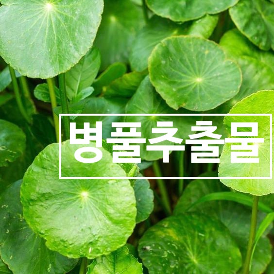 병풀추출물 원액과 효능 : 네이버 블로그