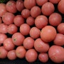 엉클베리모닝팜의 유기농 수제 토마토페이스트 만들기