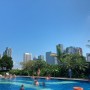 싱가포르 호텔보스 :: 슈페리어 퀸룸 발코니 3박 얼리체크인 & 수영장