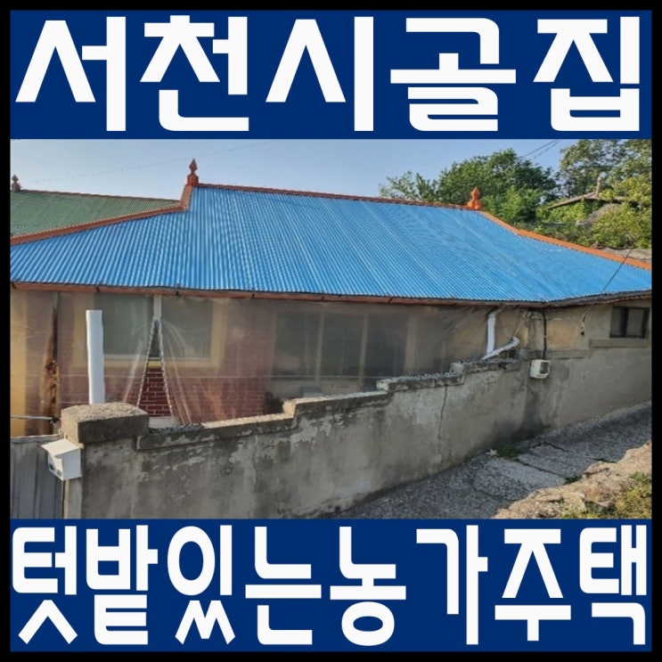 서천 농가주택 텃밭 있는 소형 시골집 : 네이버 블로그 서천 농가주택 텃밭 있는 소형 시골집 : 네이버 블로그