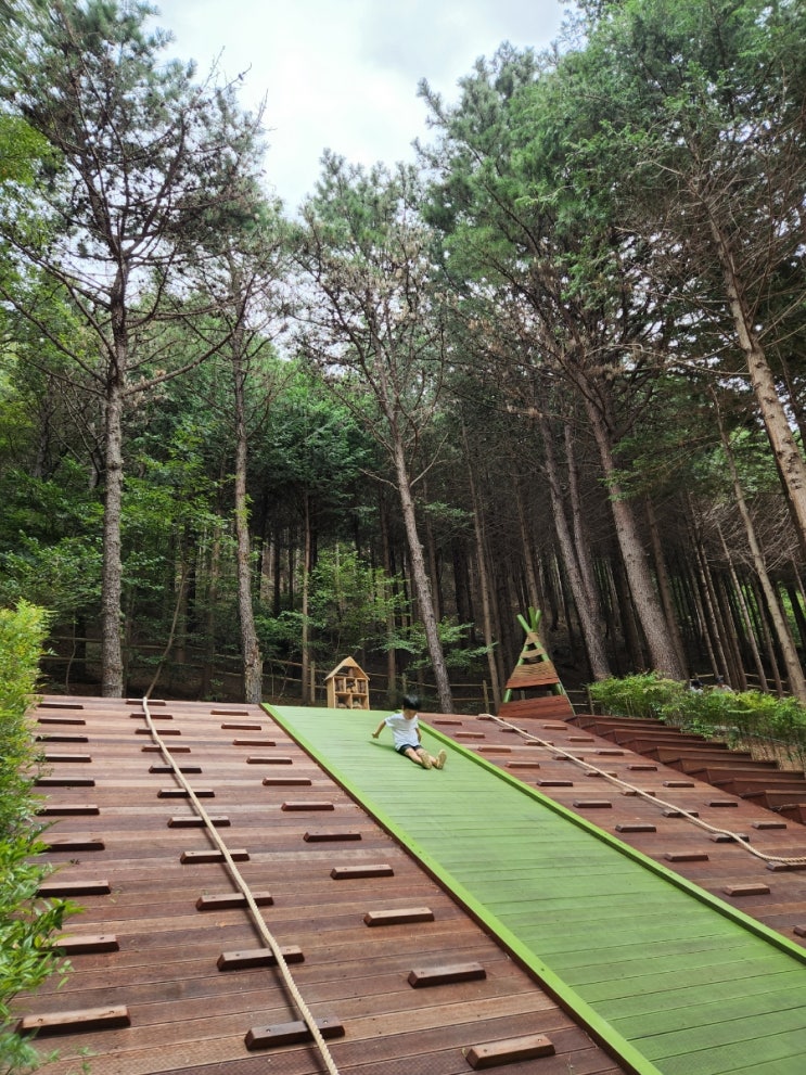 배산 유아편백숲터 개장 : 네이버 블로그