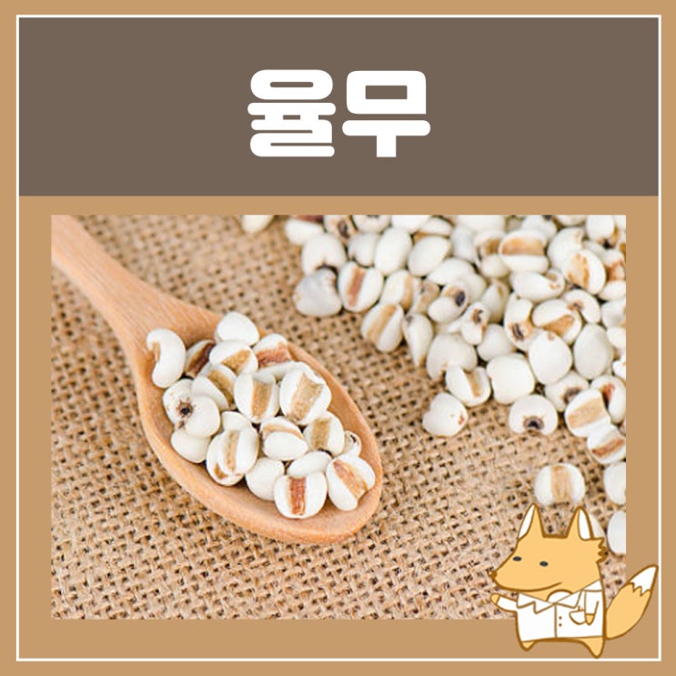 율무차 부작용 효능 : 임산부 율무차 율무가루 볶은 율무 효능, 몸에 좋은 차 : 네이버 블로그