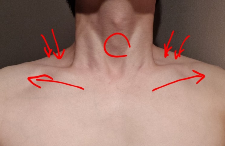 힐링캠프 호흡 명상 림프선 마사지 스트레칭 피지컬 테라피 : 네이버 블로그