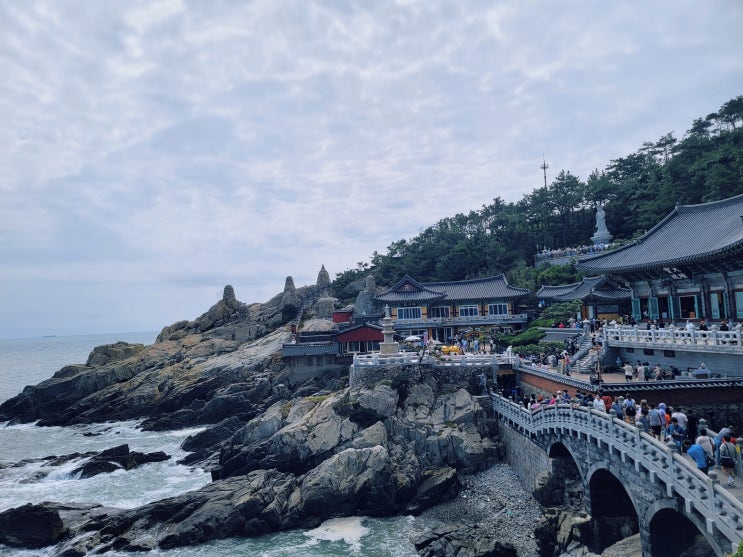 부산 해동 용궁사 바다 풍경이 아름다운 절 : 네이버 블로그