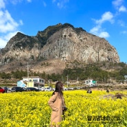 2월 제주한달살이 : 21일차 산방산랜드 제주도바이킹이라니!!