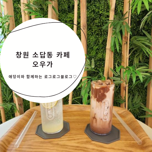 창원 소답동 카페 - 오우가 : 네이버 블로그