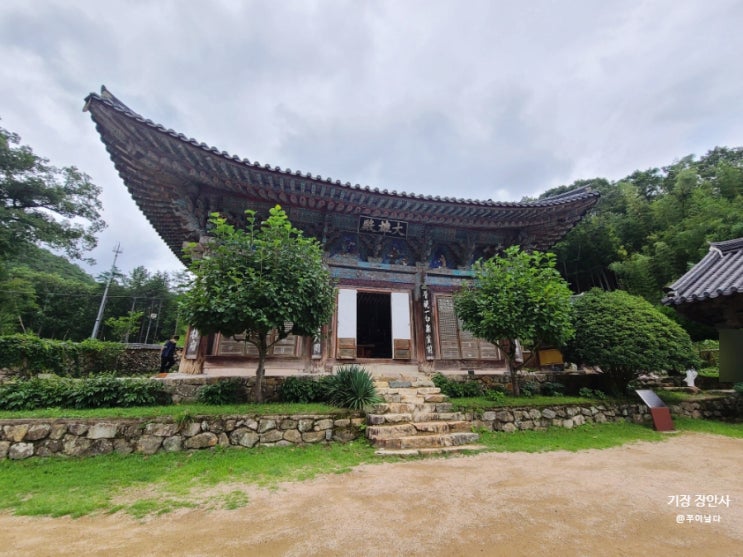 부산 가볼만한 절 기장 장안사 대웅전과 보호수 단풍나무 : 네이버 블로그