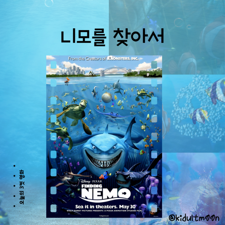 바다로 수영하는 니모니모를 찾아서